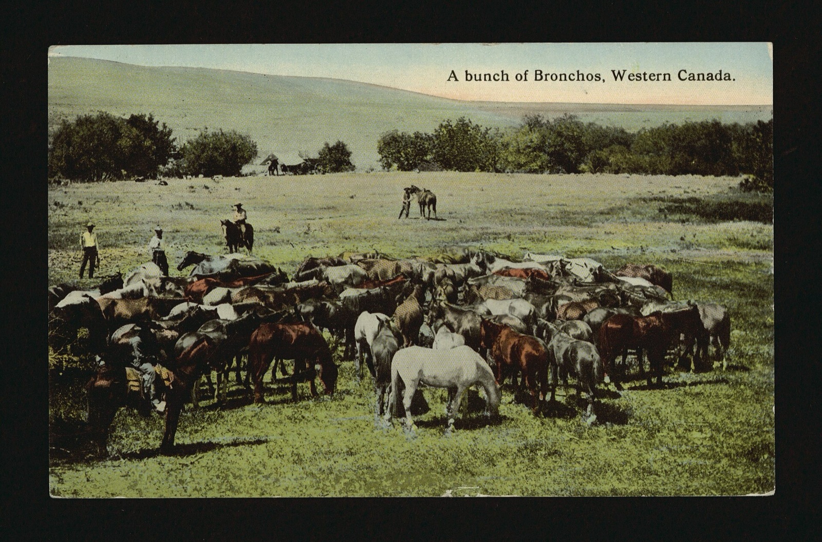 Photograph related to this story