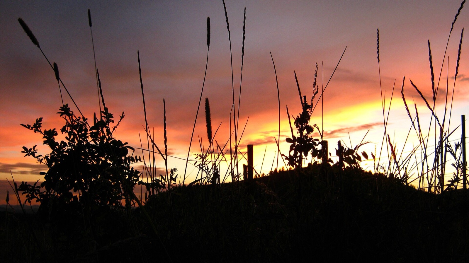 Photograph related to this story